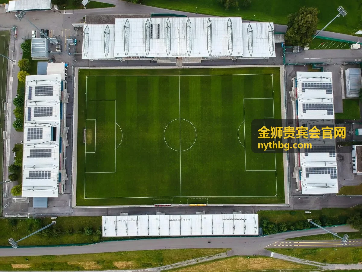 金狮贵宾会官网抽象狮形光影